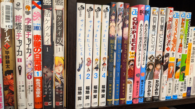 Mondstuk Rijk Uitbeelding How To Buy Japanese Manga: Physical and Digital | Japanese Tactics